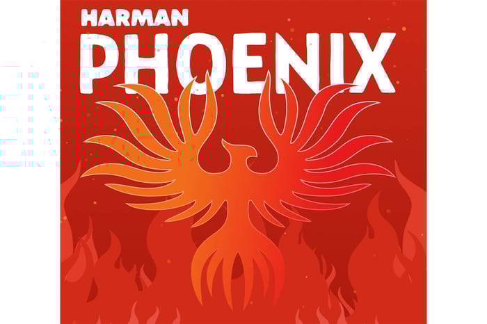Harman Phoenix 200 Color Negative  Film - Test results