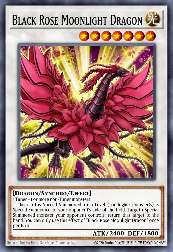 Black Rose Moonlight Dragon