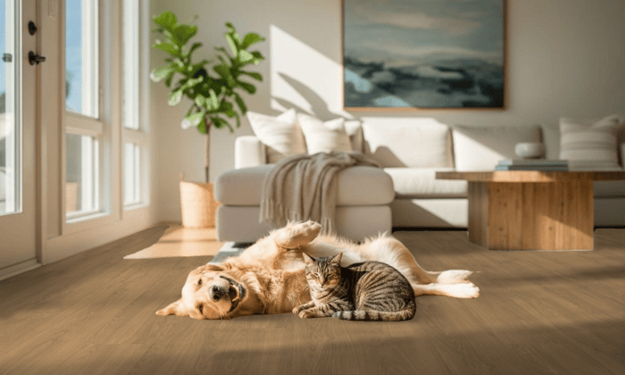 Pets on scratch resistant hybrid resilient flooring