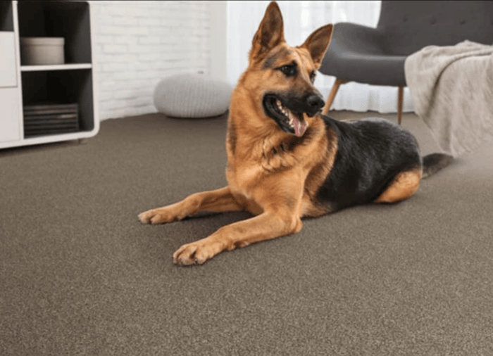 how to measure carpeting