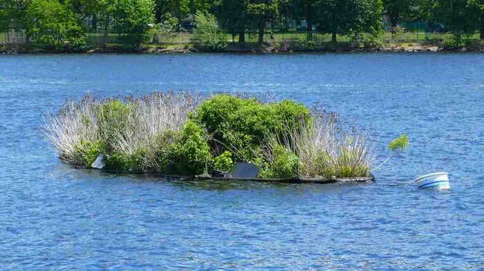 Charles River Floating Wetlands In Cambridge, MA