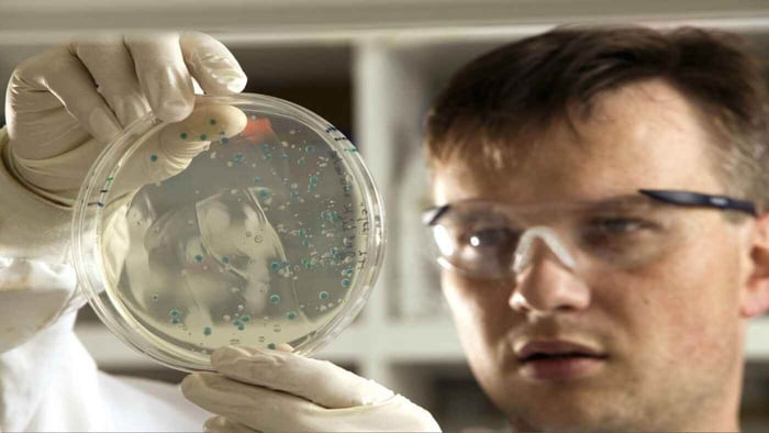 Scientists looking to bioremediation as a way to reverse pollution and regenerate water