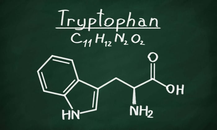 Die Bedeutung von Tryptophan: Die unverzichtbare Aminosäure
