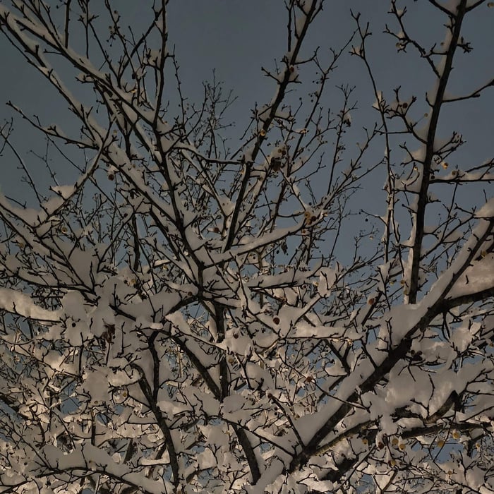 A Slow Start: Winter as a Season of Becoming