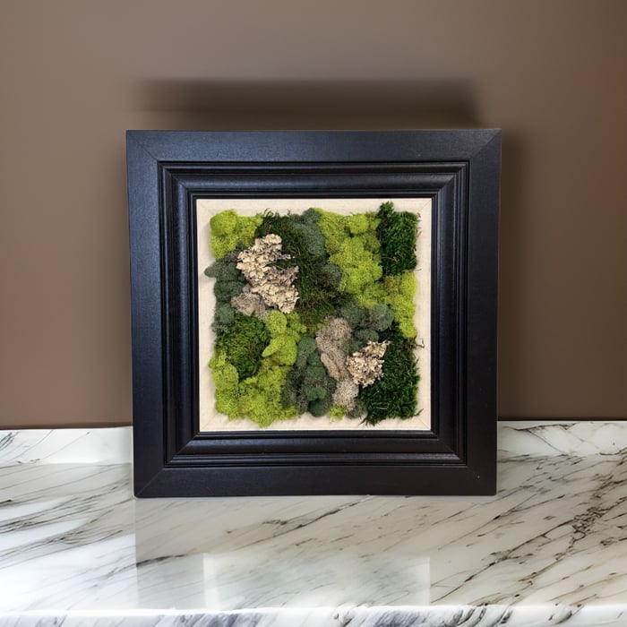 A Step-by-Step Guide to DIY Moss Wall Art