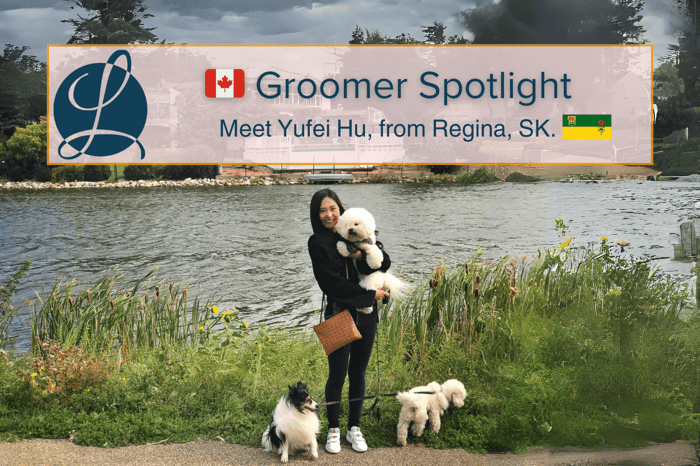 🇨🇦 Canada's Groomer Spotlight March, 2024: Meet Yufei Hu, From Regina Saskatchewan