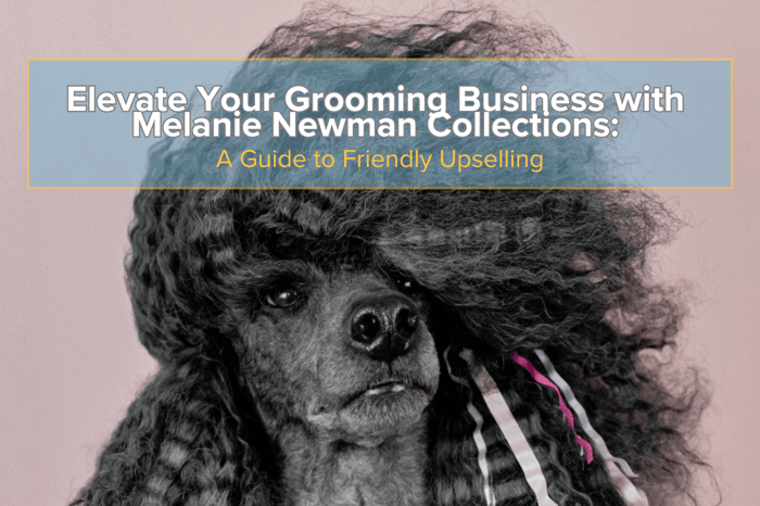 A Guide to Friendly Upselling: With Melanie Newman