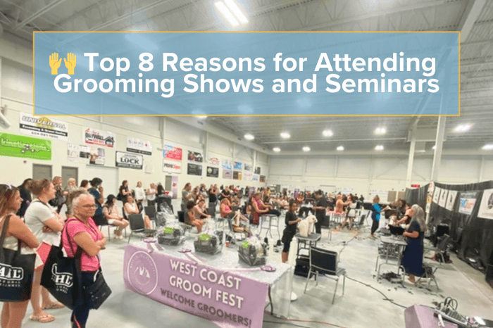 🙌 Grooming Shows and Seminars: Top 8 Reasons for Attending