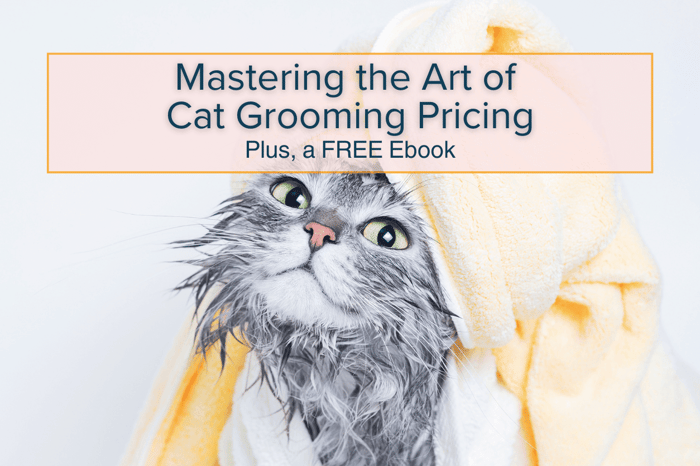 Mastering the Art of Cat Grooming Pricing + A FREE Ebook