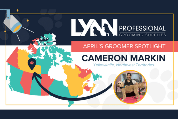 Lynn's Canadian Groomer Spotlight: Meet Cameron From Yellowknife