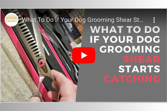 Shear Maintenance: What To Do If Your Shears Start Catching