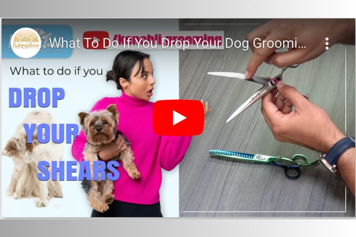 Shear Maintenance: What To Do When You Drop Your Shears By Sammy Cheemo of Kenchii