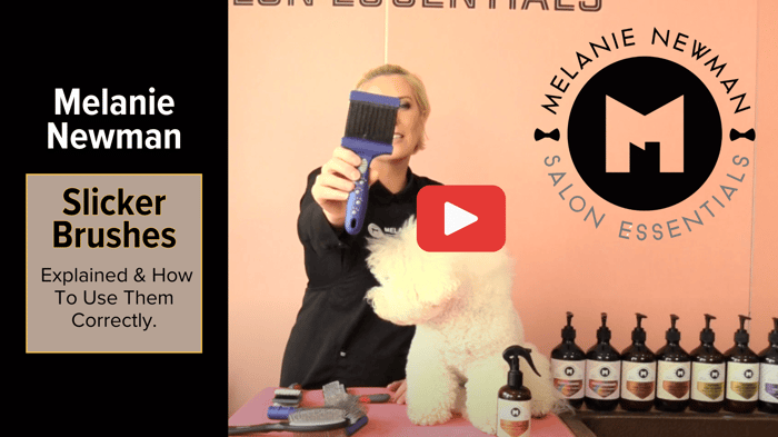 Slicker Brushes Explained & How To Use Them Correctly