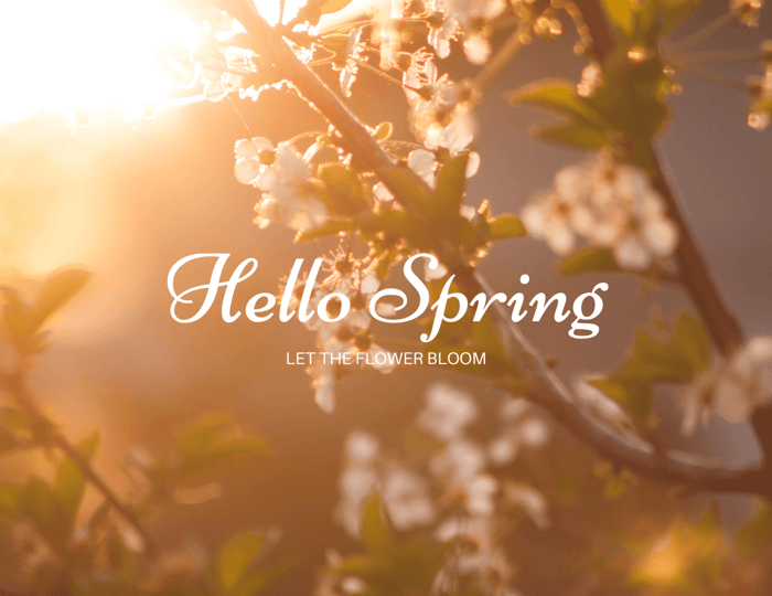 Welcome Spring: Explore 6 Top Candle Scents for 2024