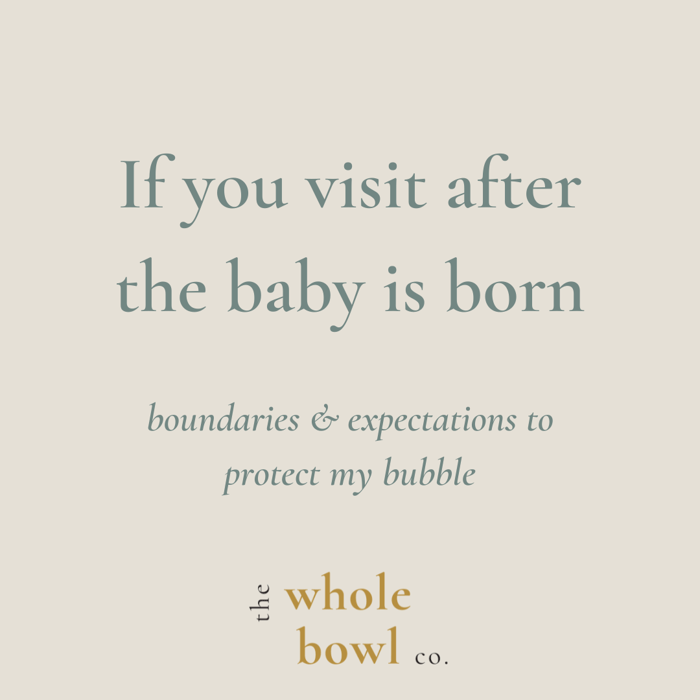 Visiting A Newborn: A list of boundaries to protect our bubble.