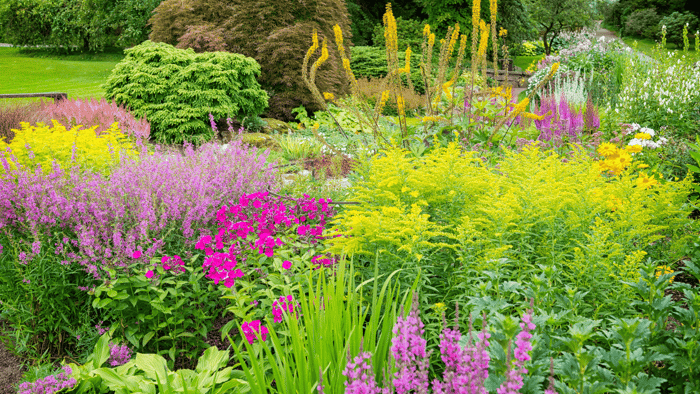 Lavish Unstoppable Fragrance Oil : Experience True Luxury