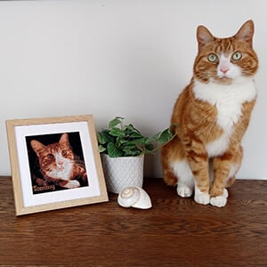 From Cherished Memories to Embroidered Art with Color PhotoStitch Tool