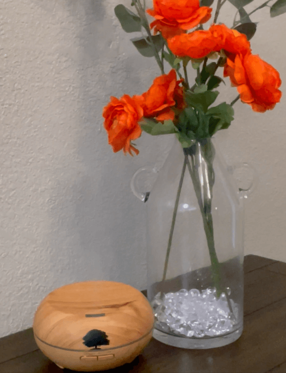 Synthetic Fragrance vs Essential Oil Diffuser