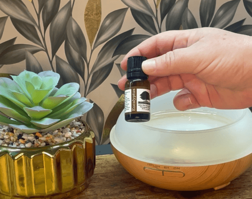 eucalyptus essential oil