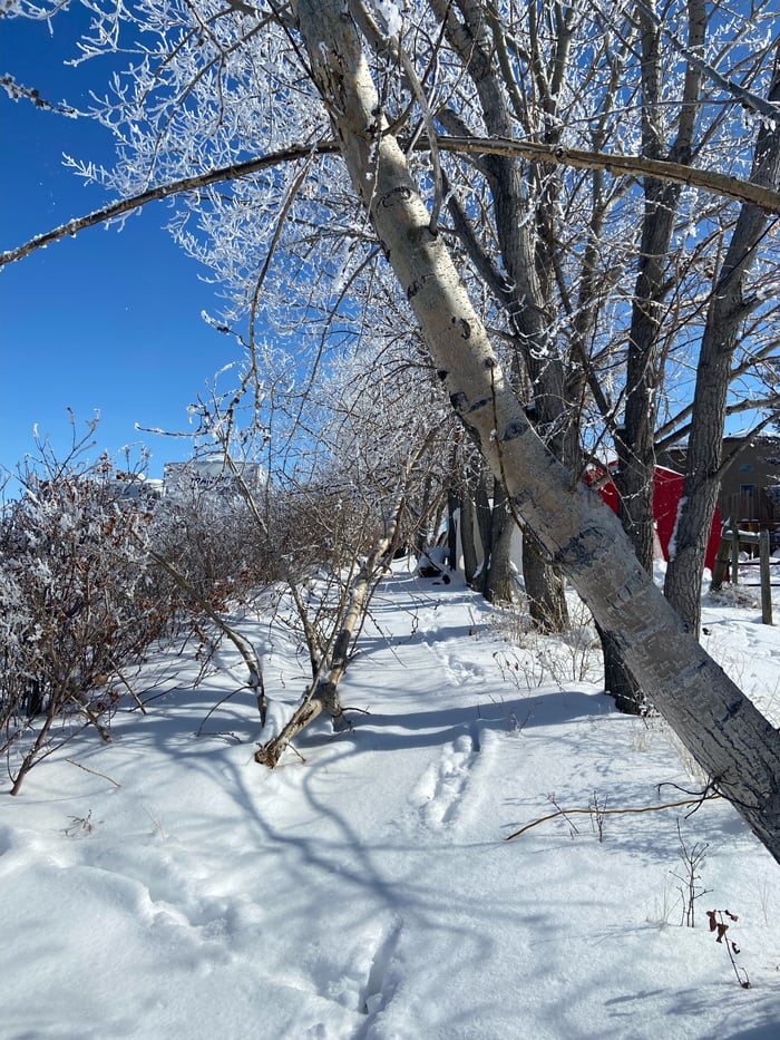 Detoxing from the Hustle Culture