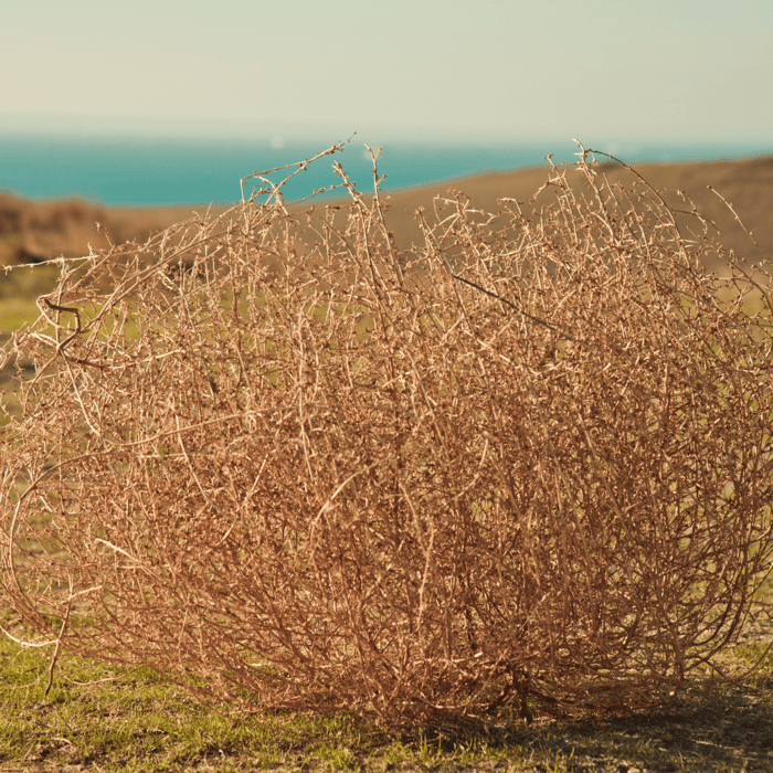 Tumbling Through Adversity and Building Resiliency