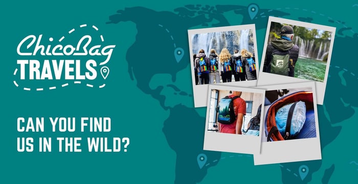 ChicoBag provides sustainable solutions for promotional travel companies