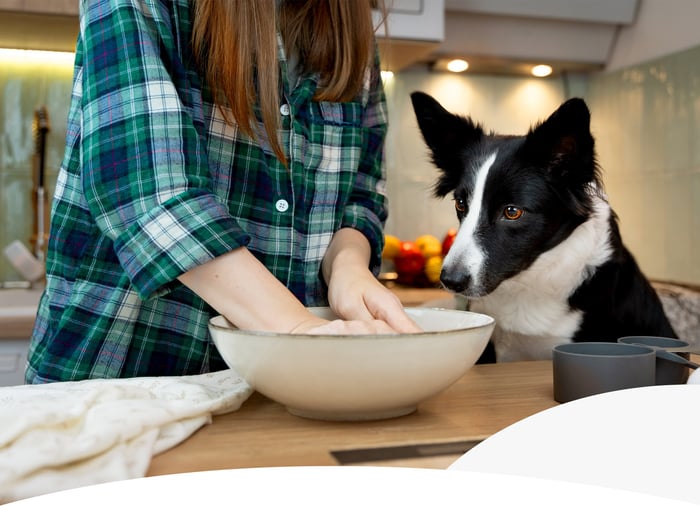 Meal prep for dogs