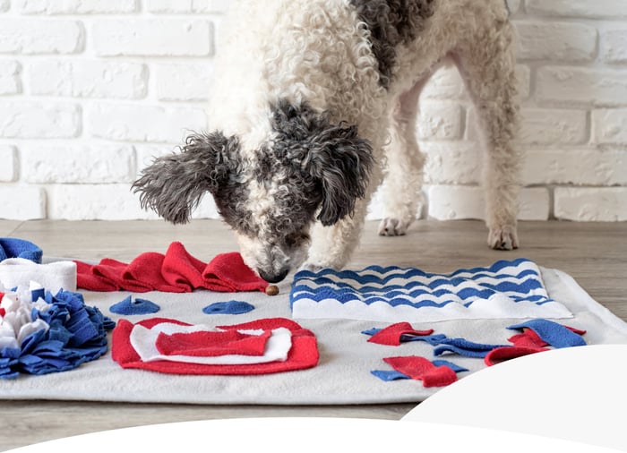 THE NOSE KNOWS:HOW SMELL ENRICHMENT KEEPS DOGS HAPPY INDOORS