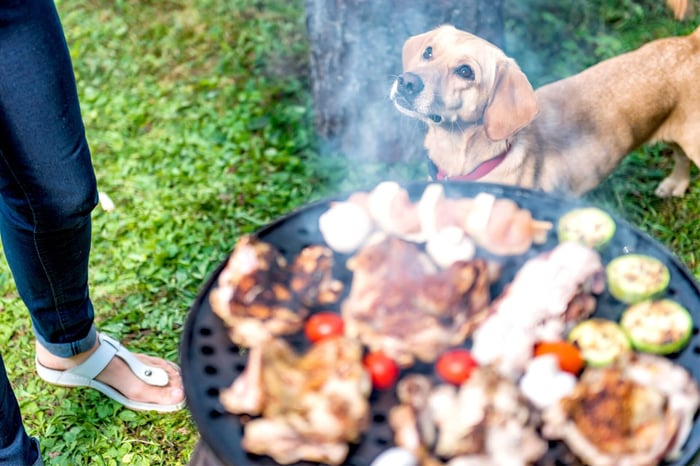 Dog-friendly BBQ recipes for summer featuring Crumps’ Naturals treats