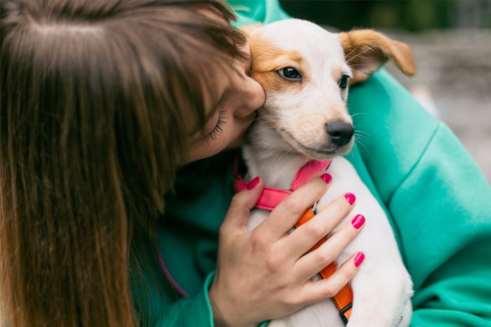 DOG MOM LIFE: WHY IT IS THE BEST JOB IN THE WORLD