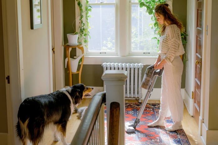 SPRING CLEANING TIPS FOR PET OWNERS: A FRESH START FOR YOU AND YOUR FURRY FRIENDS
