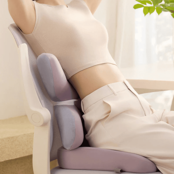 EVERY THINK 蝴蝶護腰靠枕及伴伴坐墊