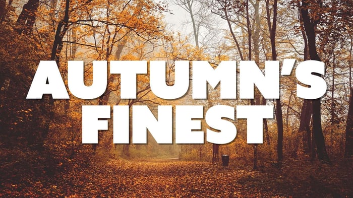 9 Perfect Cannabis Products to Try This Fall