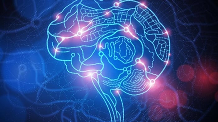 Designing Architecture for the Senses Using Computer Algorithms