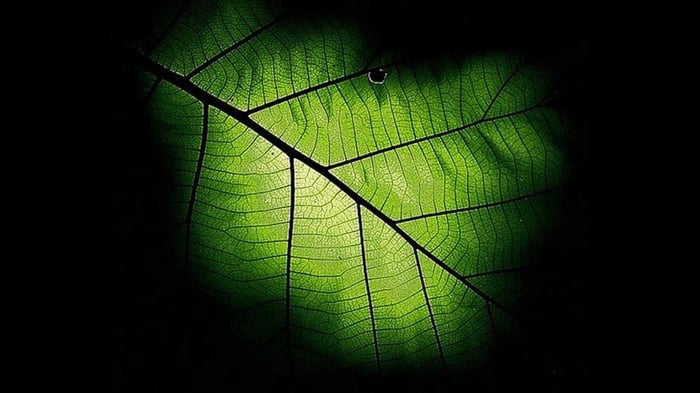 Boosting Building Experience with Integrated High-Tech Nature