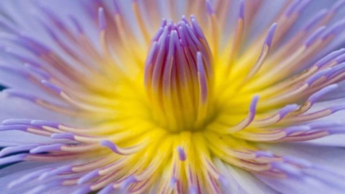 Biomimicry: Architecture Inspired By Nature