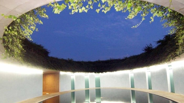 New Ways to Bring Nature into Architecture