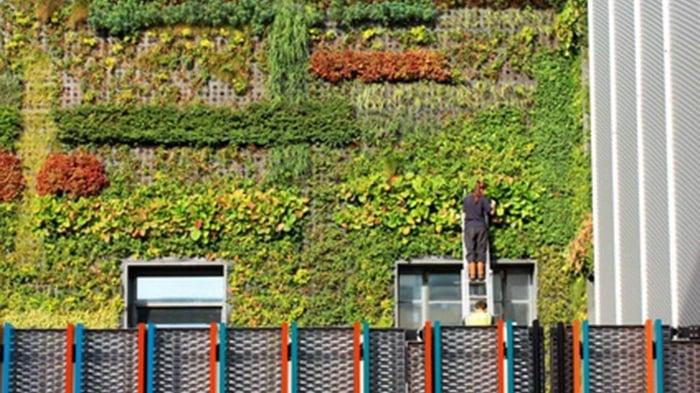 How to Innovate with Nature in Design to Create Amazing Experiences