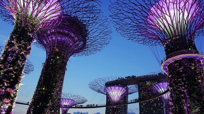 How to Leverage the Interplay Between Technology and Nature