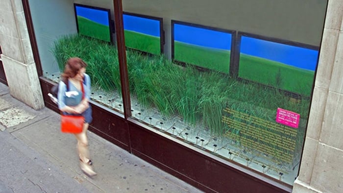 Buildings Harmonize with Nature to Expand the Virtual