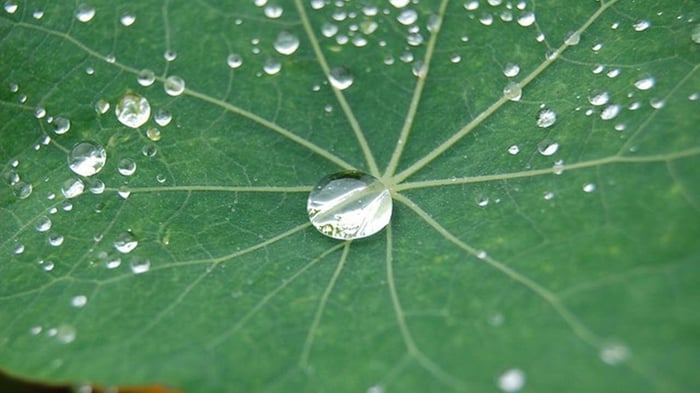 New Nanotechnology for Architecture: Liquid Repelling Coating