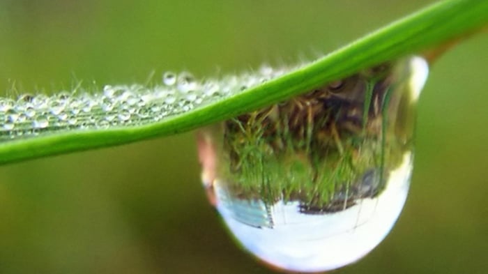 The Balance Between Architecture and Nature (Slideshow)