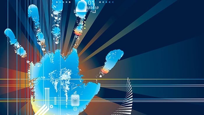 The Advent of Digital Environments that Pull from Sensory Design