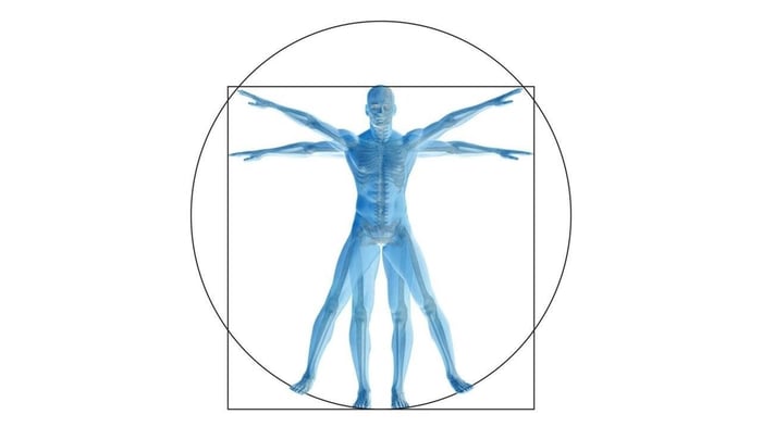 Examining the Relationship Between Architecture and the Human Body