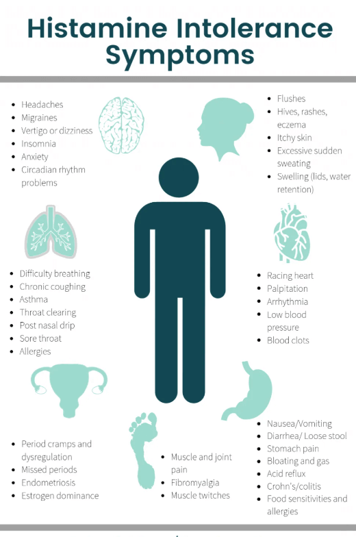 Chronic Histamine Response & How to Support Your Body