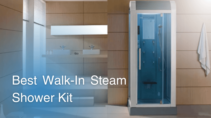 best walk in steam shower kit title on an image of the Mesa WS-502L Steam Shower