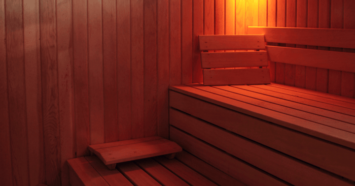 infrared sauna cost depicted by a fancy infrared sauna