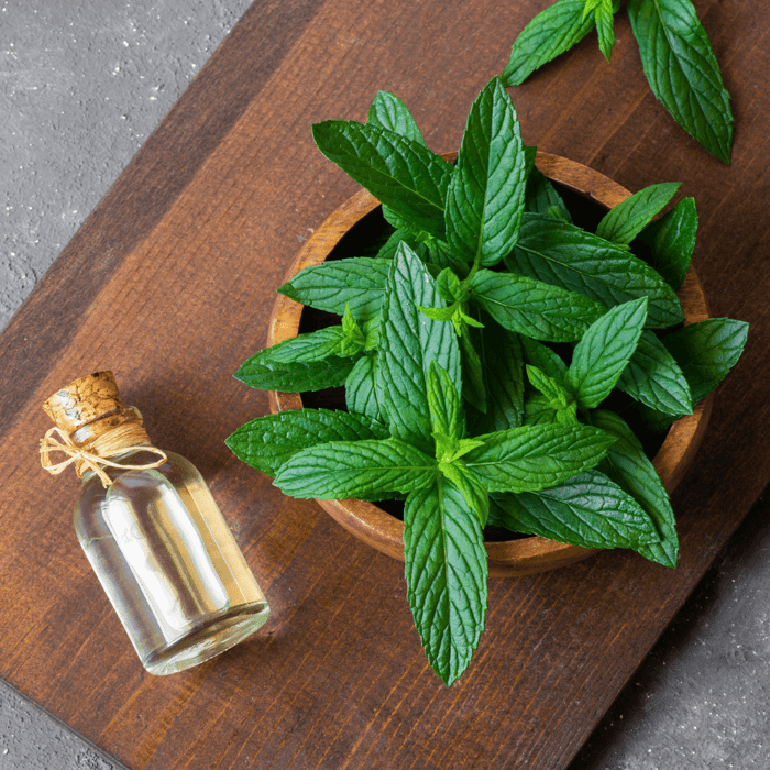 Why Peppermint Infused Shampoo is Your Hair's Best Friend