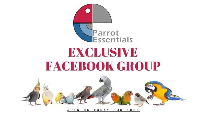 Parrot Essentials Facebook Group