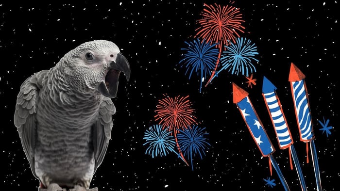 Scared Parrot During Fireworks